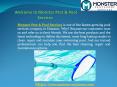 Monster Outdoors - Pool Cleaning Services Company in Houston,TX PowerPoint PPT Presentation