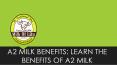 Milk adulteration and how to identify it | Milk Of Life PowerPoint PPT Presentation