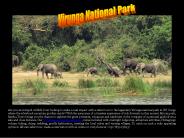 Virunga National Park