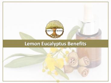 Lemon Eucalyptus Benefits