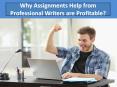 Why Assignments help from Professional Writers are Profitable? PowerPoint PPT Presentation