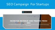 Profitable SEO campaign