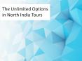 The Unlimited Options in North India Tours PowerPoint PPT Presentation
