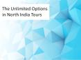 The Unlimited Options in North India Tours (1) PowerPoint PPT Presentation