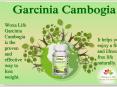 Woxalife Garcinia Cambogia Review (1) PowerPoint PPT Presentation