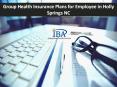 Group Health Insurance Plans for Employee in Holly Springs NC PowerPoint PPT Presentation