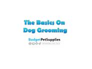 The Basics On  Dog Grooming