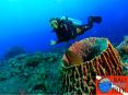 Technical Scuba Diving Courses PowerPoint PPT Presentation