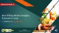 Kiwi Filling Market Insights, Forecast to 2025 PowerPoint PPT Presentation
