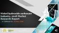Nickel hydroxide carbonate Industry, 2018 Market Research Report PowerPoint PPT Presentation