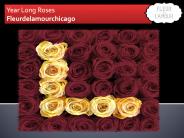 Real Roses That Last Years (1)