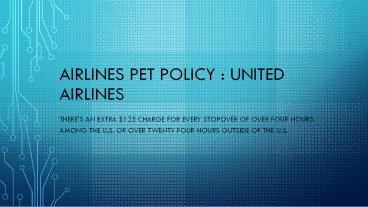 Airlines pet policy : United Airlines