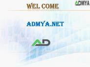 Online Reputation Management