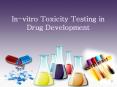 In-vitro Toxicity Testing PowerPoint PPT Presentation
