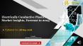 Electrically Conductive Plastics Market Insights, Forecast to 2025 PowerPoint PPT Presentation