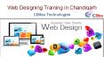 Web Designing Training in Chandigarh (13) PowerPoint PPT Presentation