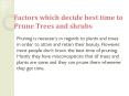 Factors which decide best time to Prune Trees and shrubs PowerPoint PPT Presentation