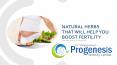 Natural Herbs That Will Help You Boost Fertility PowerPoint PPT Presentation