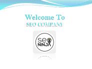 SEO Service Wisconsin- ASK SEO NINJA