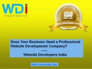 Does Your Business Need a Professional Website Development Company?