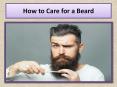 How to Care for a Beard PowerPoint PPT Presentation
