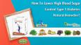 How to Lower High Blood Sugar Control Type 1 Diabetes Natural Remedies? PowerPoint PPT Presentation