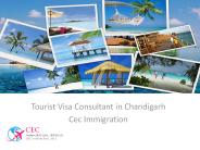 Cec Immigration Consultant in Chandigarh