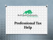 Professional Tax Help - bulltaxaccountants.com (1)