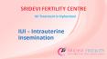 IUI Centres in Hyderabad - Sridevi Fertility Centre (1) PowerPoint PPT Presentation