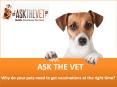 Why do your pets need to get vaccinations at the right time PowerPoint PPT Presentation