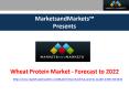 Wheat Protein Market - Forecast to 2022 PowerPoint PPT Presentation