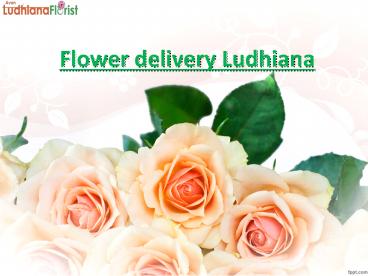 Flower delivery Ludhiana