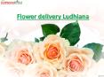 Flower delivery Ludhiana PowerPoint PPT Presentation