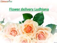 Flower delivery Ludhiana