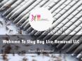 Detail Presentation About Slug Bug Lice Removal PowerPoint PPT Presentation