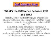 What’s the Difference Between CBD and THC?