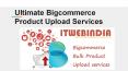 Ultimate Guide for Bigcommerce product Upload PowerPoint PPT Presentation
