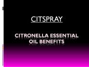 The Best Citronella Essential Oil a citspray PowerPoint PPT Presentation