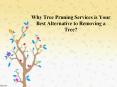 Why Tree Pruning Services is Your Best Alternative to Removing a Tree? - Northern Tree Services PowerPoint PPT Presentation