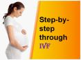 IVF Treatment India By Go IVF Surrogacy PowerPoint PPT Presentation