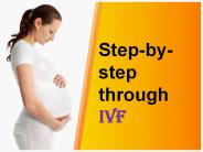 IVF Treatment India By Go IVF Surrogacy