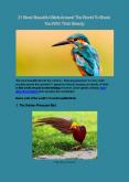21 Most Beautiful Birds Around The World To Shock You With Their Beauty PowerPoint PPT Presentation