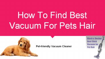 How To Find Best Vacuum For Pets Hair