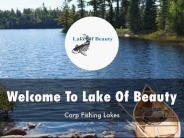Information Presentation Of Lake Of Beauty