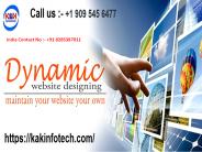 Dynamic Website Designing Company in Delhi (1)