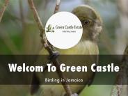 Green Castle Estate Presentation