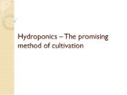Hydroponics Farming in India