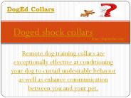 Doged shock collars (1)