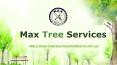 Tree Services Melbourne | Arborist Melbourne | Max Tree Services PowerPoint PPT Presentation