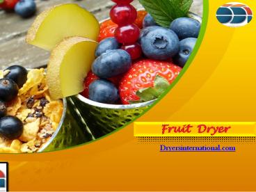 Fruit Dryer